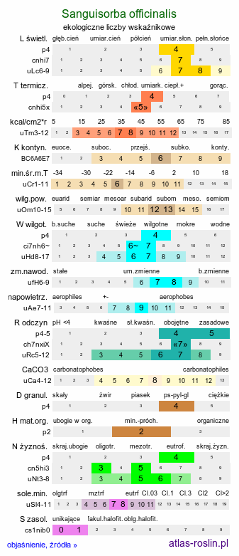 ekologiczne liczby wskaźnikowe Sanguisorba officinalis (krwiściąg lekarski)