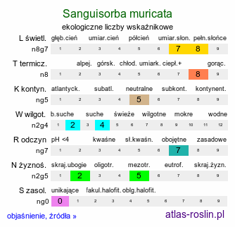 ekologiczne liczby wskaźnikowe Sanguisorba muricata (krwiściąg średni)