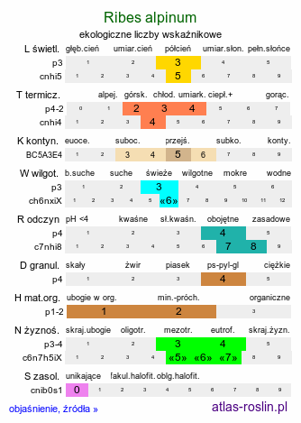 ekologiczne liczby wskaźnikowe Ribes alpinum (porzeczka alpejska)