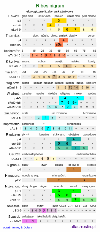 ekologiczne liczby wskaźnikowe Ribes nigrum (porzeczka czarna)