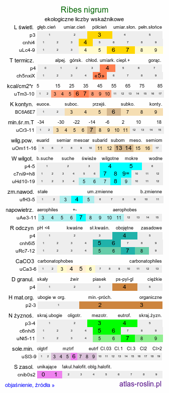 ekologiczne liczby wskaźnikowe Ribes nigrum (porzeczka czarna)