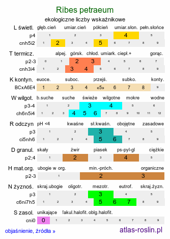 ekologiczne liczby wskaźnikowe Ribes petraeum (porzeczka skalna)