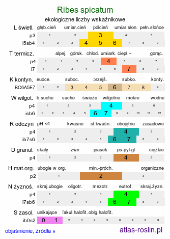 ekologiczne liczby wskaźnikowe Ribes spicatum (porzeczka czerwona)