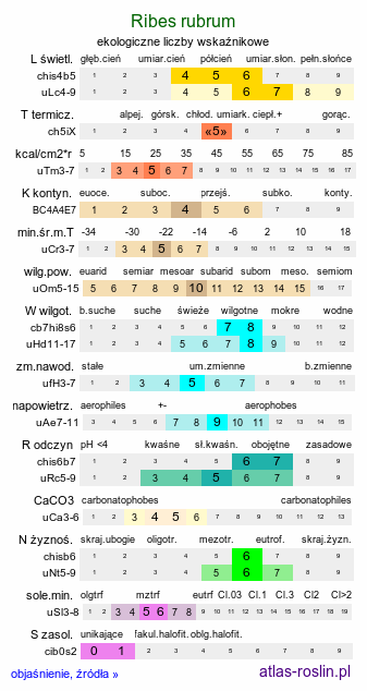 ekologiczne liczby wskaźnikowe Ribes rubrum (porzeczka zwyczajna)