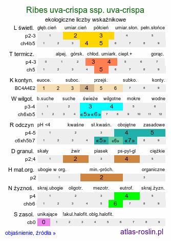 ekologiczne liczby wskaźnikowe Ribes uva-crispa ssp. uva-crispa (porzeczka agrest typowa)