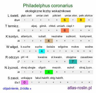 ekologiczne liczby wskaźnikowe Philadelphus coronarius (jaśminowiec wonny)