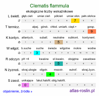 ekologiczne liczby wskaźnikowe Clematis flammula (powojnik pachnący)