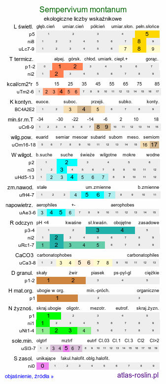 ekologiczne liczby wskaźnikowe Sempervivum montanum (rojnik górski)
