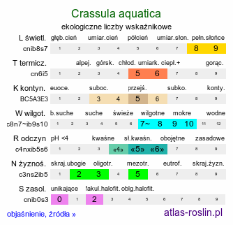 ekologiczne liczby wskaźnikowe Crassula aquatica (uwroć wodna)
