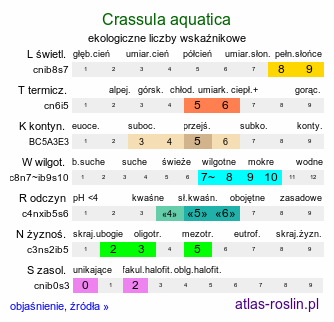 ekologiczne liczby wskaźnikowe Crassula aquatica (uwroć wodna)