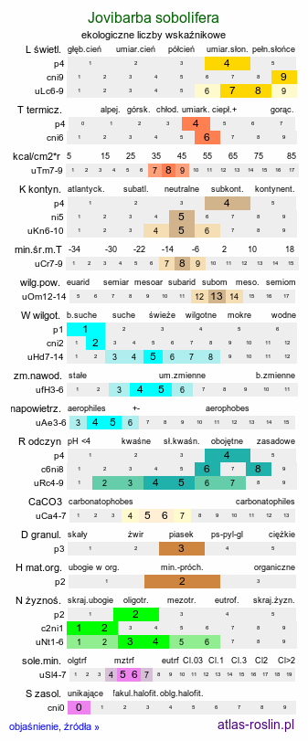 ekologiczne liczby wskaźnikowe Jovibarba sobolifera (rojownik pospolity)