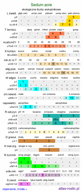 ekologiczne liczby wskaźnikowe Sedum acre (rozchodnik ostry)