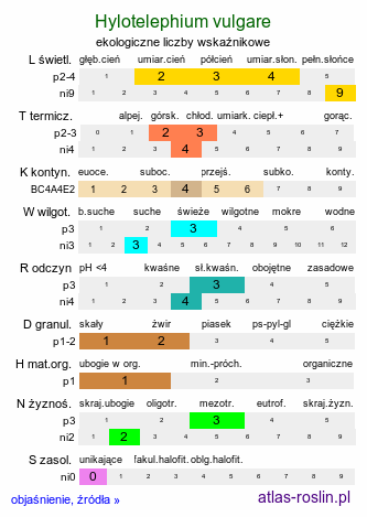 ekologiczne liczby wskaźnikowe Hylotelephium vulgare (rozchodnik karpacki)