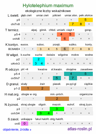 ekologiczne liczby wskaźnikowe Hylotelephium maximum (rozchodnik wielki)