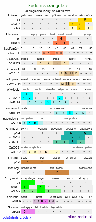 ekologiczne liczby wskaźnikowe Sedum sexangulare (rozchodnik sześciorzędowy)