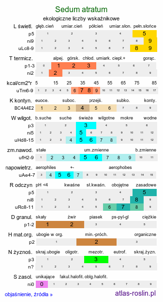 ekologiczne liczby wskaźnikowe Sedum atratum (rozchodnik czarniawy)