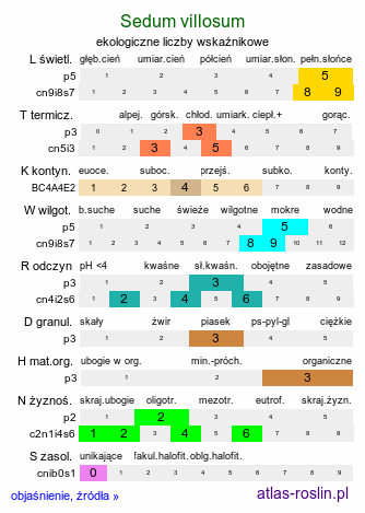 ekologiczne liczby wskaźnikowe Sedum villosum (rozchodnik owłosiony)