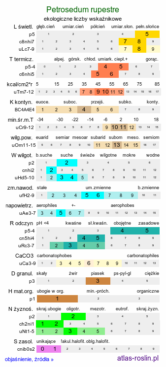 ekologiczne liczby wskaźnikowe Petrosedum rupestre (rozchodnik ościsty)