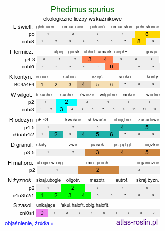 ekologiczne liczby wskaźnikowe Phedimus spurius (rozchodnik kaukaski)