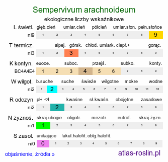 ekologiczne liczby wskaźnikowe Sempervivum arachnoideum (rojnik pajęczynowaty)