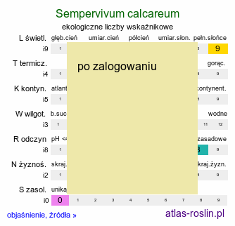 ekologiczne liczby wskaźnikowe Sempervivum calcareum (rojnik wapienny)