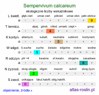 ekologiczne liczby wskaźnikowe Sempervivum calcareum (rojnik wapienny)