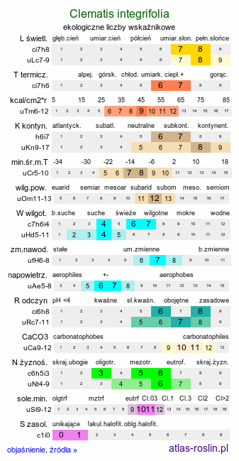 ekologiczne liczby wskaźnikowe Clematis integrifolia (powojnik całolistny)