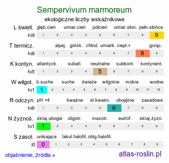 ekologiczne liczby wskaźnikowe Sempervivum marmoreum (rojnik ćmy)