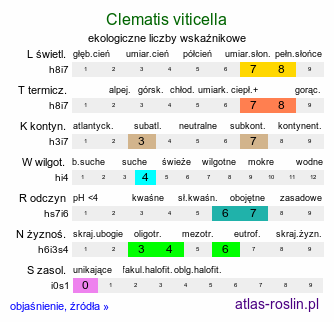 ekologiczne liczby wskaźnikowe Clematis viticella (powojnik włoski)