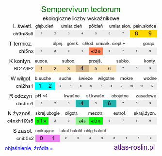 ekologiczne liczby wskaźnikowe Sempervivum tectorum (rojnik murowy)