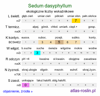 ekologiczne liczby wskaźnikowe Sedum dasyphyllum (rozchodnik brodawkowaty)