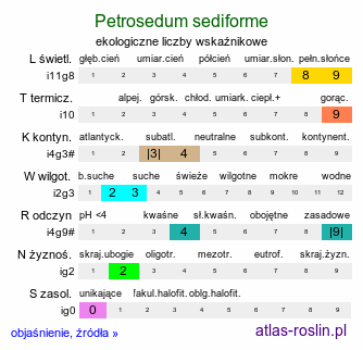 ekologiczne liczby wskaźnikowe Petrosedum sediforme (rozchodnik nicejski)