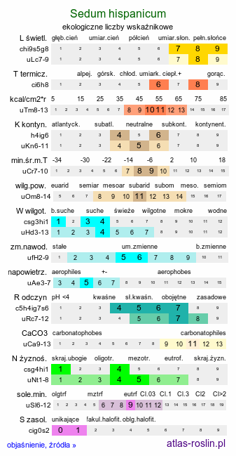 ekologiczne liczby wskaźnikowe Sedum hispanicum (rozchodnik siny)