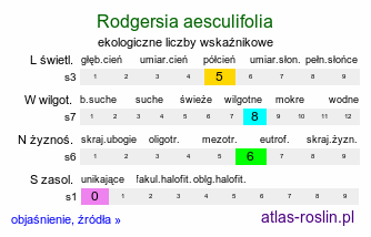 ekologiczne liczby wskaźnikowe Rodgersia aesculifolia (rodgersia kasztanowcolistna)