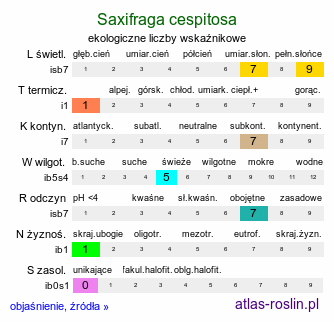 ekologiczne liczby wskaźnikowe Saxifraga cespitosa (skalnica rozesłana)