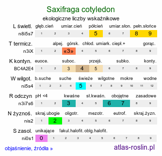 ekologiczne liczby wskaźnikowe Saxifraga cotyledon (skalnica liścieniolistna)