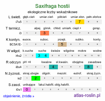 ekologiczne liczby wskaźnikowe Saxifraga hostii (skalnica Hosta)