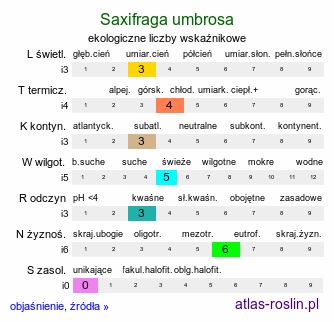 ekologiczne liczby wskaźnikowe Saxifraga umbrosa (skalnica cienista)