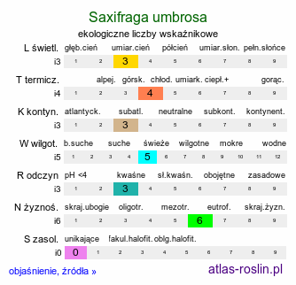 ekologiczne liczby wskaźnikowe Saxifraga umbrosa (skalnica cienista)