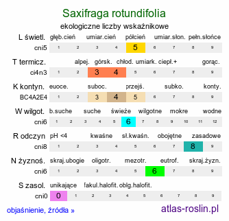 ekologiczne liczby wskaźnikowe Saxifraga rotundifolia (skalnica okrągłolistna)