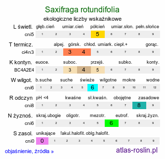 ekologiczne liczby wskaźnikowe Saxifraga rotundifolia (skalnica okrągłolistna)