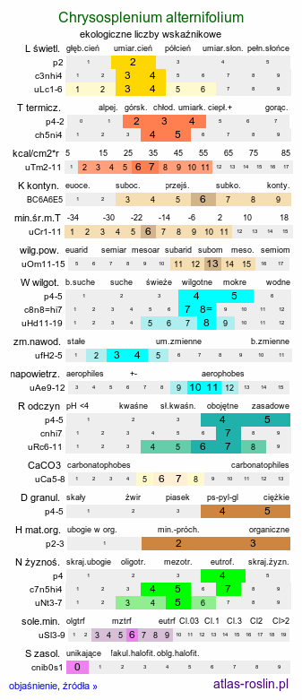 ekologiczne liczby wskaźnikowe Chrysosplenium alternifolium (śledziennica skrętolistna)