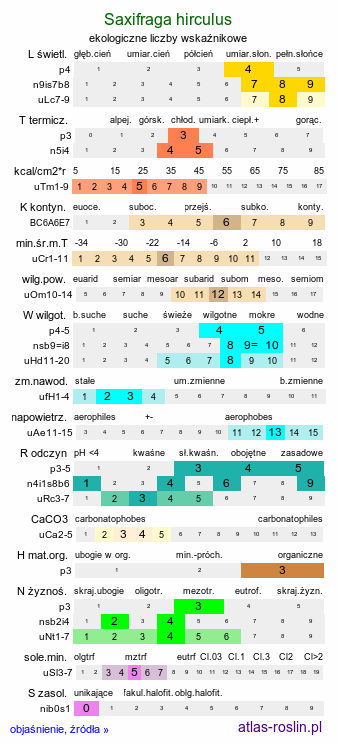 ekologiczne liczby wskaźnikowe Saxifraga hirculus (skalnica torfowiskowa)