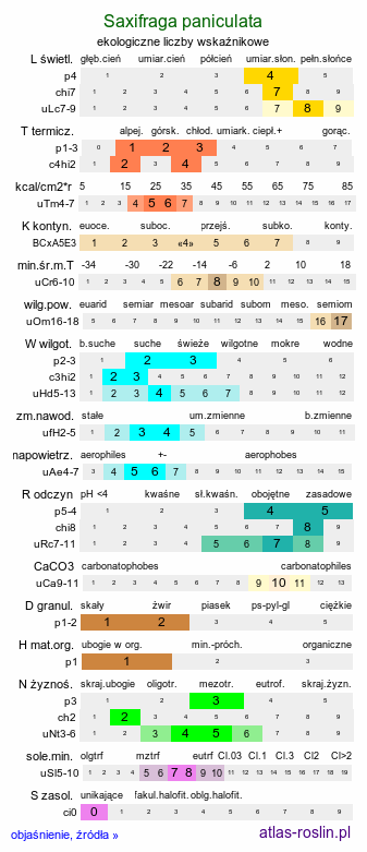 ekologiczne liczby wskaźnikowe Saxifraga paniculata (skalnica gronkowa)
