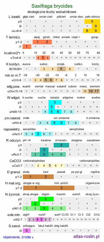 ekologiczne liczby wskaźnikowe Saxifraga bryoides (skalnica mchowata)