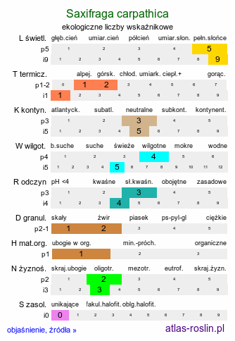 ekologiczne liczby wskaźnikowe Saxifraga carpathica (skalnica karpacka)