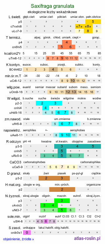 ekologiczne liczby wskaźnikowe Saxifraga granulata (skalnica ziarenkowata)