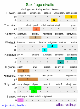 ekologiczne liczby wskaźnikowe Saxifraga nivalis (skalnica śnieżna)