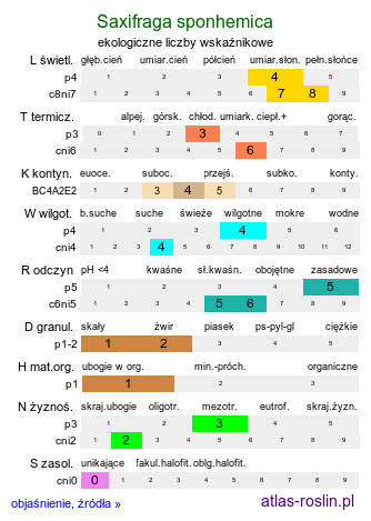 ekologiczne liczby wskaźnikowe Saxifraga sponhemica (skalnica zwodnicza)