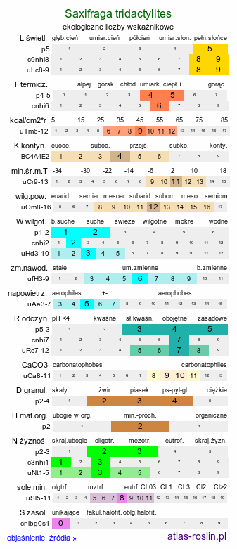 ekologiczne liczby wskaźnikowe Saxifraga tridactylites (skalnica trójpalczasta)